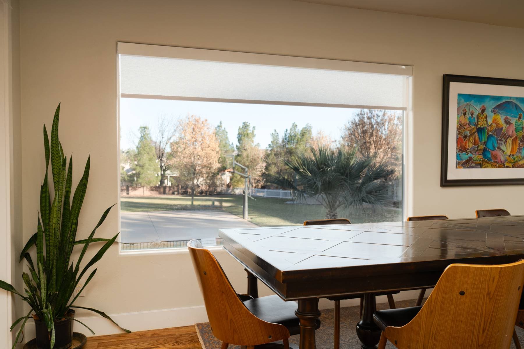 Motorized Transparent Blinds